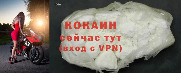 трава Кодинск