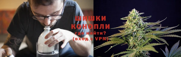 трава Кодинск