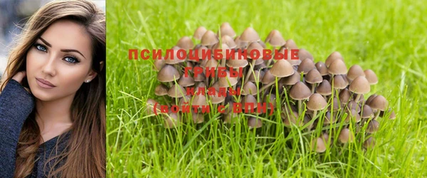 трава Кодинск